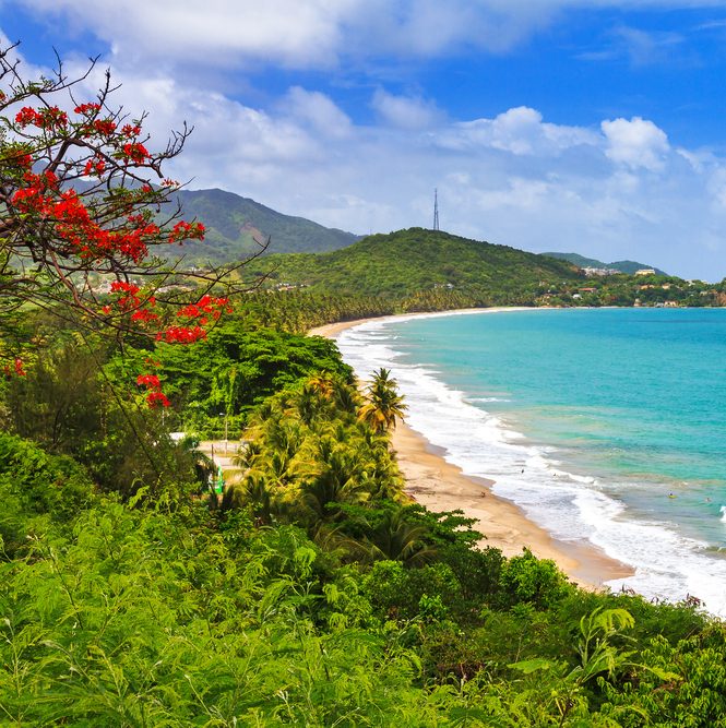 Things To Do in Puerto Rico